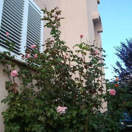Apartment Eja Zadar
